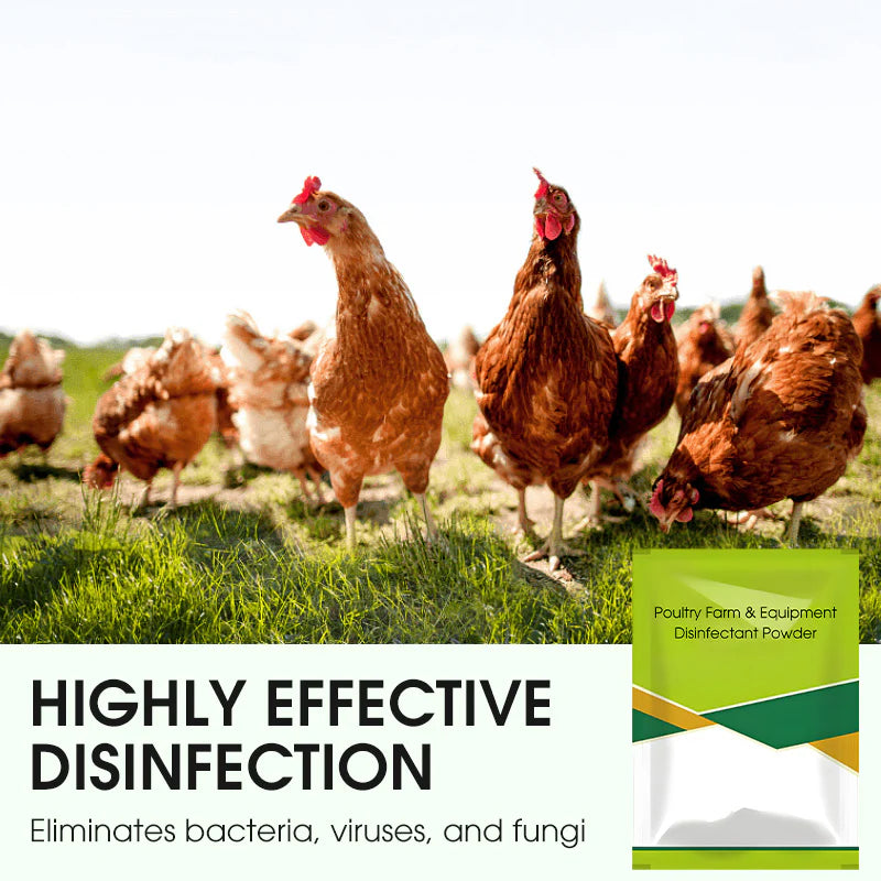 Poultry Farm & Equipment Disinfectant Powder(Buy 1 Get 1 free)
