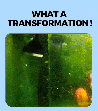 💧Powerful water purification tablet for aquariums 🚀