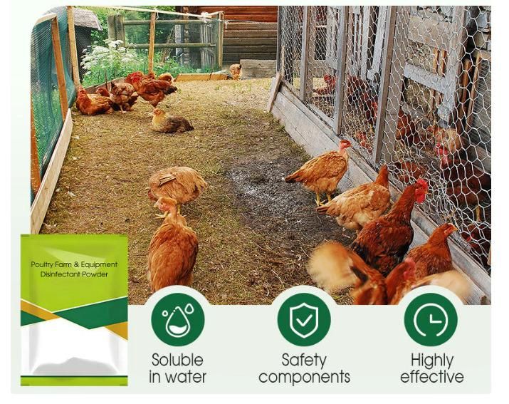 Poultry Farm & Equipment Disinfectant Powder(Buy 1 Get 1 free)