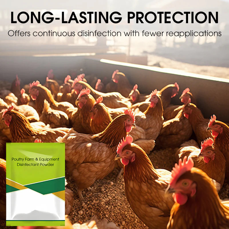Poultry Farm & Equipment Disinfectant Powder(Buy 1 Get 1 free)